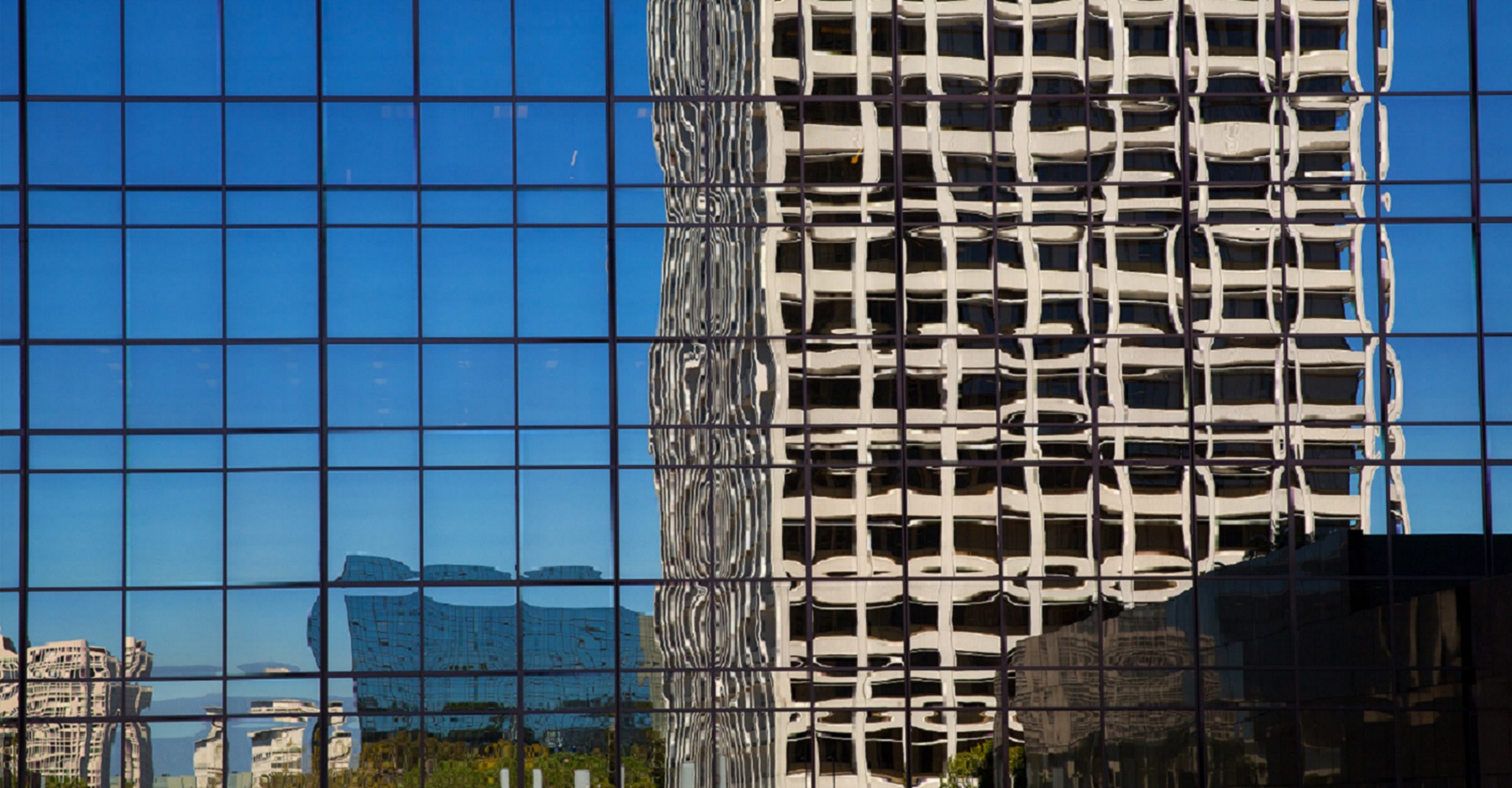 マンスリーレター5月号