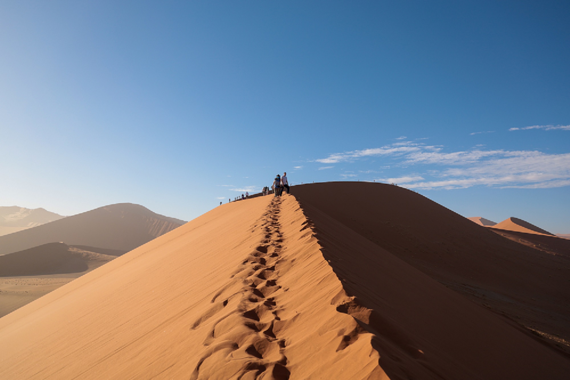 熱狂の時代における資産形成